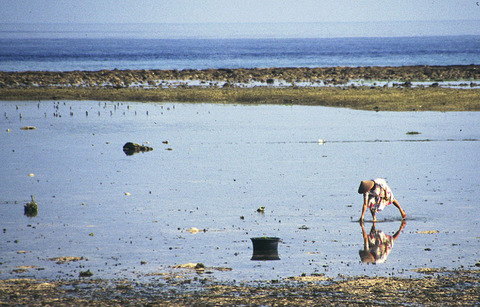 bali - fishing the shallows.jpg